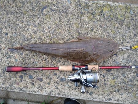 フラットとフラット