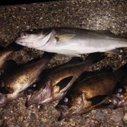 そろそろおわりかな?