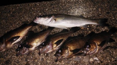 そろそろおわりかな？