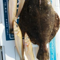 東二見西水路釣行