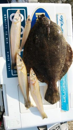 東二見西水路釣行