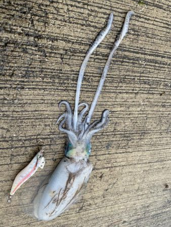 雨やのに、、、