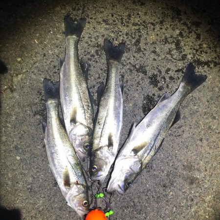 金系ルアー縛り