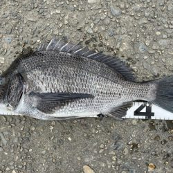 イチノ兄弟、釣果！