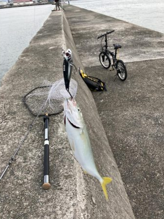 西宮ケーソン、メジロ上がりました