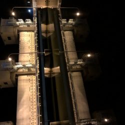 シーバスにチビレ