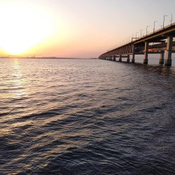 激渋メバリング