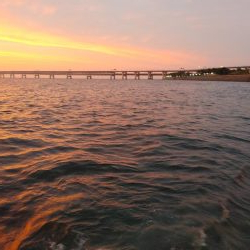 フロートメバリング