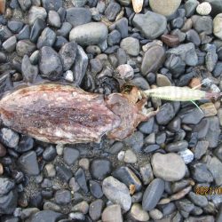 やっぱ道具は大事