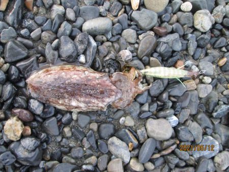 やっぱ道具は大事