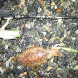 ポツリポツリと