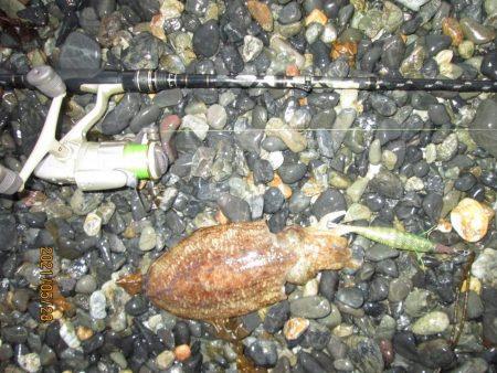 ポツリポツリと