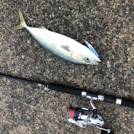 2021 佐渡ヶ島 ショアジギング