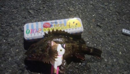 釣りデビュー　143日目