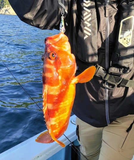 内之浦スーパーライトジギング釣果