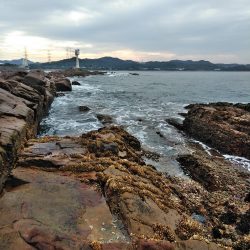 フカセ‥最高ですネ・・