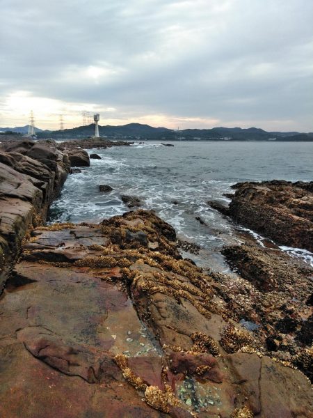 フカセ‥最高ですネ・・