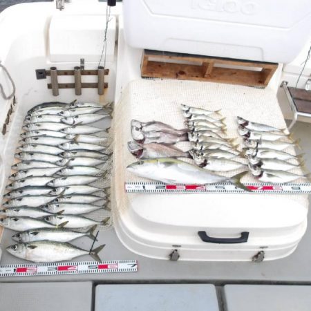 SOUTH　チャーター便4名様釣果