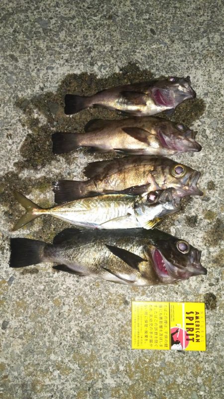 間もなくシーズンオフ？