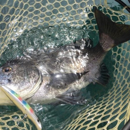 A.P.P フィッシングガイドサービス　新上五島町　カヤックフィッシングポイントを探してRIDEON！