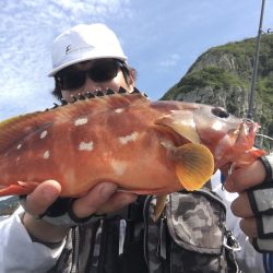 A.P.Pフィッシングガイドサービス　カヤックフィッシング日和で、アカハタを初RIDEONキャッチ！