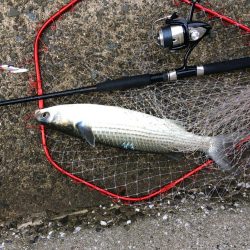 プチsalt water game！