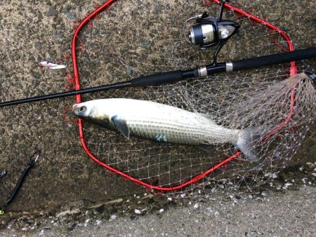 プチsalt water game！