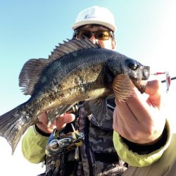 A.P.Pフィッシングガイドサービス　ライトゲームにRIDEON！