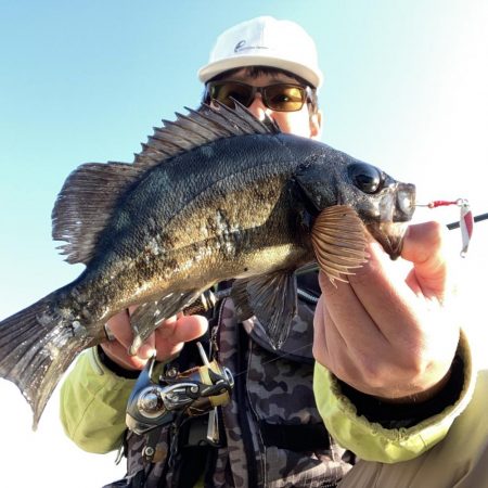 A.P.Pフィッシングガイドサービス　ライ…