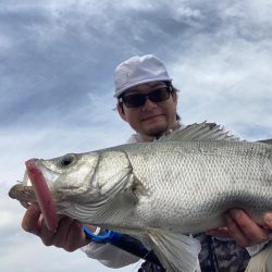 A.P.Pフィッシングガイドサービス 磯ヒラスズキゲームにて「ライド オン ブレス」発生