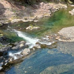 久しぶりの渓流～