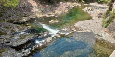 久しぶりの渓流～