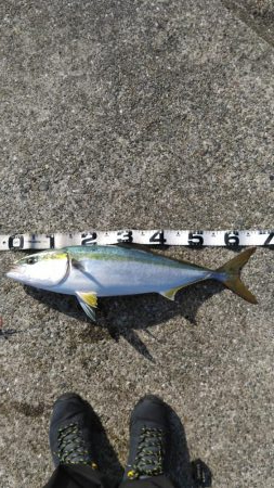 なんとかゲット！