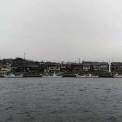 コウイカエギング終盤戦