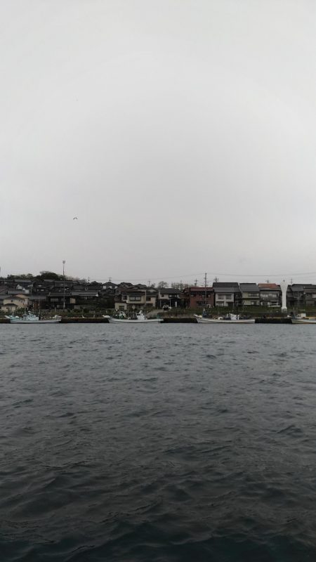 コウイカエギング終盤戦