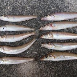 今年、ファーストキス！