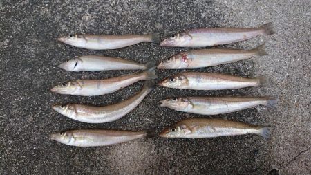 今年、ファーストキス！