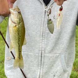 梅雨の中休みに