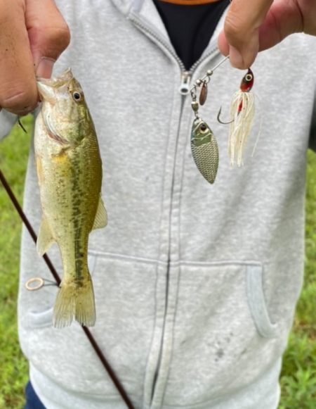 梅雨の中休みに