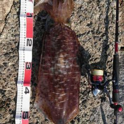 初キロupが、何と2キロOver！