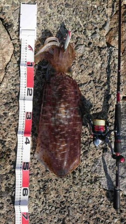 初キロupが、何と2キロOver！