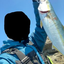 ハマチ多数ヒット。ショアジギ