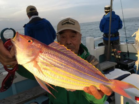 激レア シロアマダイ またまたゲット!