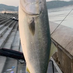 ノマセしか勝たんわ。