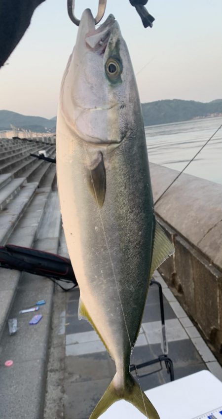 ノマセしか勝たんわ。