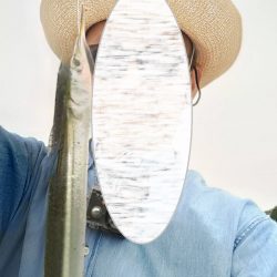 何とかサヨリきました