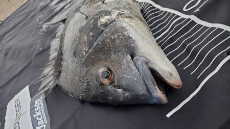 釣りデビュー　148日目