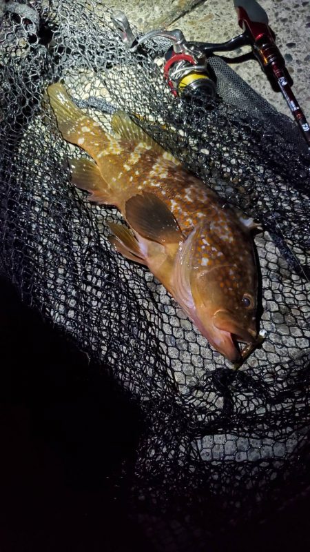 釣りデビュー　152日目