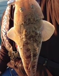 久しぶりのオフショア釣行!