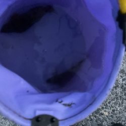 良い天気だったので